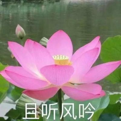 谁是坏人line up游戏下载